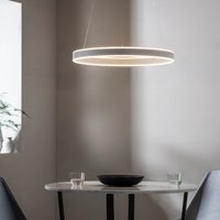 1 Ring Ceiling Pendant Light In Matt Nickel Plate And Frosted Acrylic