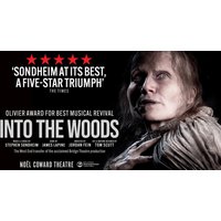 Into the Woods