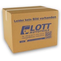 Original Dacia Auspuff Anlagen Befestigungssatz, Auspuffrohr Verbinder/Schelle 8200661295