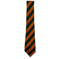 Turner Colaiste Feirste Junior School Tie In Orange - One