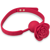 baillon-avec-gag-ball-vibrante-rosie