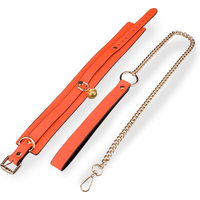 collier-et-laisse-fluorescents-orange