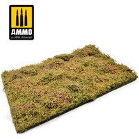 Wilderness Fields with Bushes - Late Summer