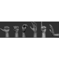 Hands - Ruce
