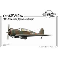 Curtiss CW-22B ML-KNIL and Japanese Marking
