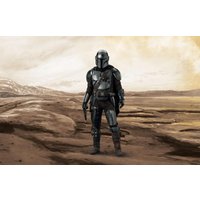 The Mandalorian: The Bounty Hunter