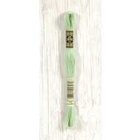 Fil mouliné Gold Concept vert pastel - COL 13 - DMC - Mondial Tissus