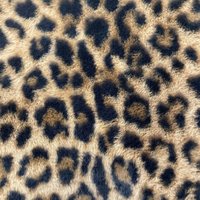 Tissu fausse fourrure douce beige motif tâcheté léopard - DOMOTEX - Mondial Tissus