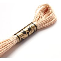 Fil mouliné à broder - Tons marrons - COL 945 - DMC - Mondial Tissus