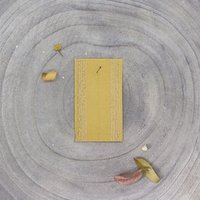 Élastique rayé lurex doré 35mm mustard - Atelier Brunette - Atelier Brunette - Mondial Tissus