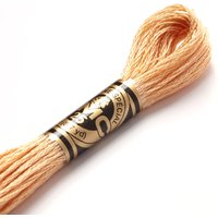 Fil mouliné à broder - Tons marrons - COL 3856 - DMC - Mondial Tissus