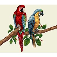 Carré de tissu jacquard perroquets colorés sur une branche 45 x 45 cm - Mondial Tissus