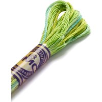 Fil mouliné à broder vert - COL 4050 - DMC - Mondial Tissus