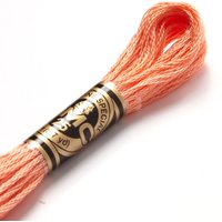 Fil mouliné à broder - Tons jaunes/orangés - COL 3341 - DMC - Mondial Tissus