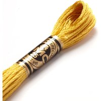 Fil mouliné à broder - Tons jaunes/orangés - COL 3821 - DMC - Mondial Tissus