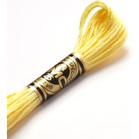 Fil mouliné à broder - Tons jaunes/orangés - COL 727 - DMC - Mondial Tissus