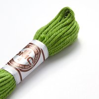 Fil à broder retors mat vert - COL 2905 - DMC - Mondial Tissus