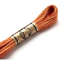 Fil mouliné à broder - Tons jaunes/orangés - COL 3776 - DMC - Mondial Tissus