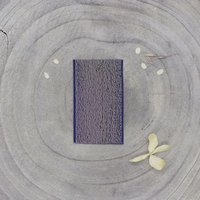 Élastique lurex doré uni 35mm cobalt - Atelier Brunette - Atelier Brunette - Mondial Tissus