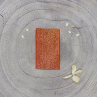 Élastique lurex doré uni 35mm tangerine - Atelier Brunette - Atelier Brunette - Mondial Tissus