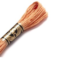 Fil mouliné à broder - Tons marrons - COL 402 - DMC - Mondial Tissus