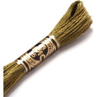 Fil mouliné à broder - Tons verts - COL 3011 - DMC - Mondial Tissus