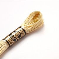 Fil mouliné à broder - Tons marrons - COL 677 - DMC - Mondial Tissus