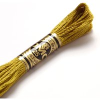 Fil mouliné à broder - Tons verts - COL 733 - DMC - Mondial Tissus