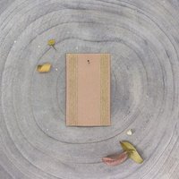 Élastique rayé lurex doré 35mm maple - Atelier Brunette - Atelier Brunette - Mondial Tissus