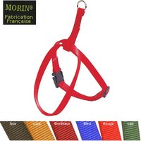 collerette-pour-chien-et-chat-en-nylon-reglable-boucle-rapide