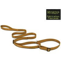 Laisse et collier pour chien en nylon