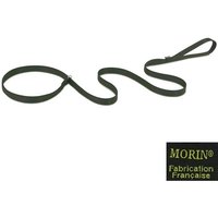 Laisse lasso nylon pour chien