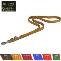 Laisse nylon pour chien, multipositions, cousue double