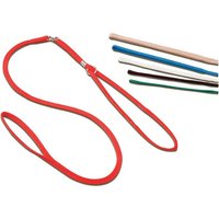 Laisse collier de présentation du chien
