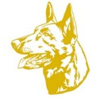 Autocollant Malinois