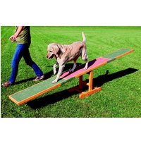 Balançoire Agility Training Concept