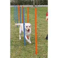 Slalom Agility Training Concept