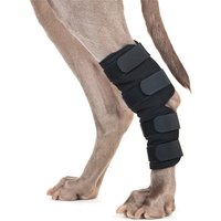 Protège jarret pour chien en tissu thérapeutique
