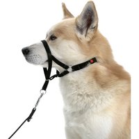 Collier d'éducation Dog Control type Halti