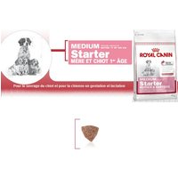 Medium Starter - Royal Canin