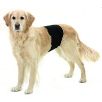 Slip d'incontinence pour mâles