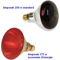 Ampoule Infrarouge