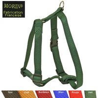 Harnais réglable pour chiens, boucle rapide, largeur 20 mm