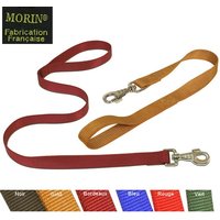 laisse-nylon-pour-chien-2-m-x-20-mm