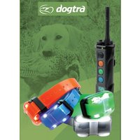 Dogtra 4500 EDGE - Collier de dressage à distance pour chien, portée 1600 m