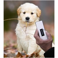 lecteur-de-puce-electronique-pocket