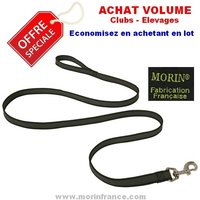 Lot de 10 laisses antidérapante - Nylon / Gomme