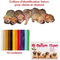 collier-identification-velcro-pour-chiots-et-chatons