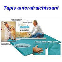 Tapis auto rafraichissant pour chien