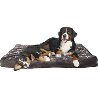 Coussin Confort Jimmy